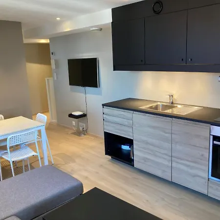 Апартаменты Skansen